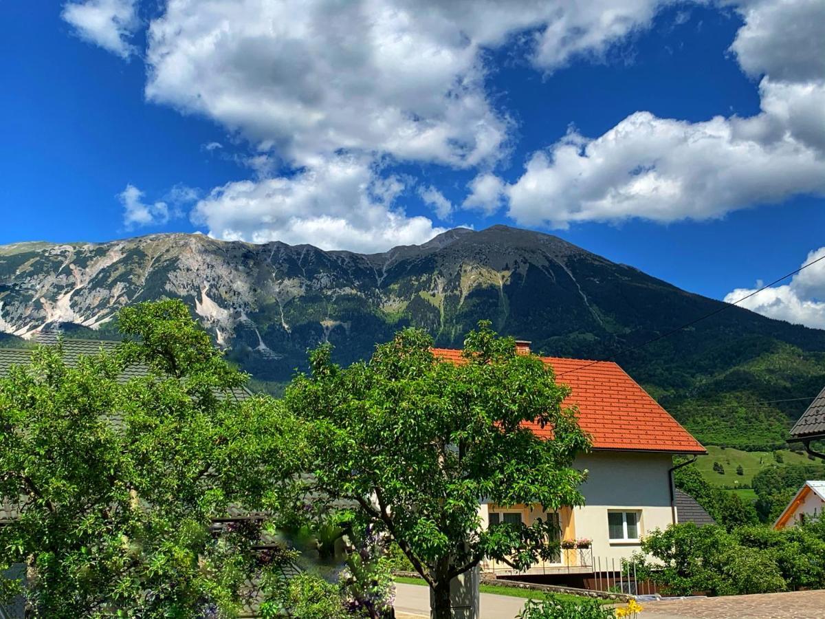 Lusht'N Apartma Zirovnica Exterior foto